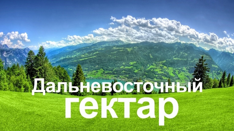 Вопросы реализации программы «Дальневосточный гектар» обсудят на Камчатке