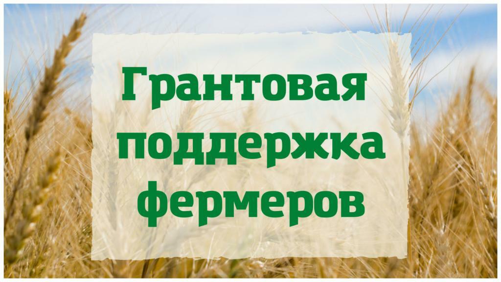 Три гранта на развитие семейных ферм смогут получить фермеры Камчатки в 2023 году