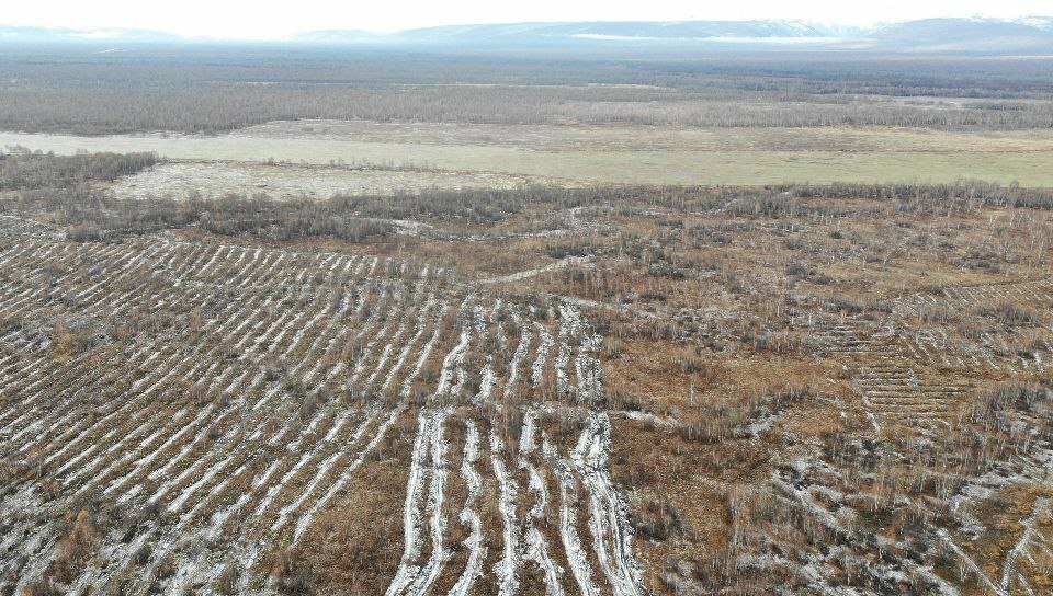 Мероприятия по компенсационному восстановлению проходят в Камчатском крае